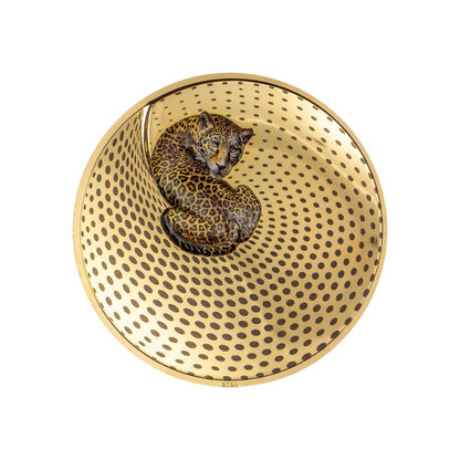 LEOPARD Camouflage of Nature Gilded 5 Oz Silver Coin $20 Palau 2024