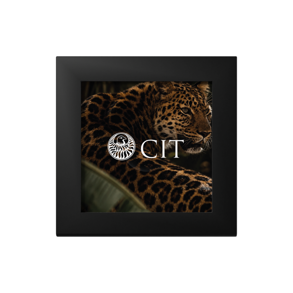 Leopard Barre De Luxe Gold Coin 2026 CIT