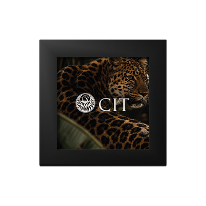 Leopard Barre De Luxe Gold Coin 2026 CIT