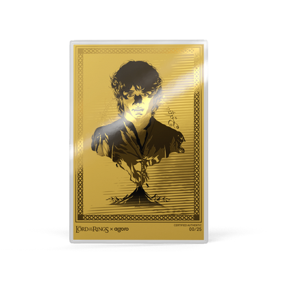 THE LORD OF THE RINGS Frodo's Journey Silver Collectible Foil AGORO