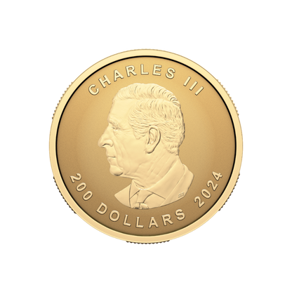 MAPLE LEAF Ultra High Relief 1 Oz Gold Coin $200 Canada 2024