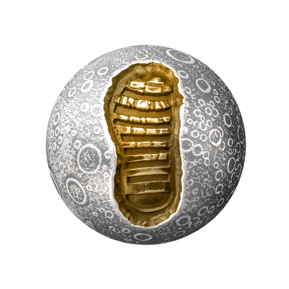 MOON LANDING Apollo 11 55th Anniversary 1 Oz Silver Coin $5 Barbados 2024