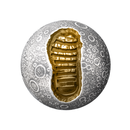 MOON LANDING Apollo 11 55th Anniversary 1 Oz Silver Coin $5 Barbados 2024