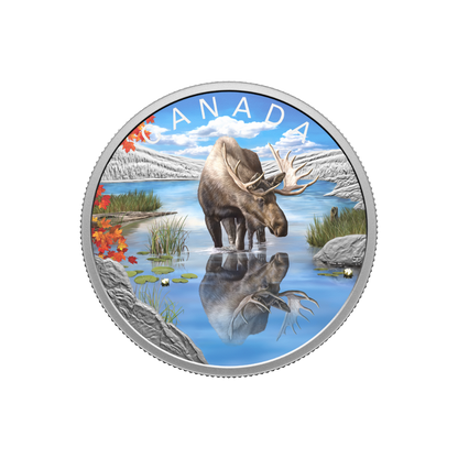 MOOSE Wildlife reflections 1 Oz Silver Coin $20 Canada