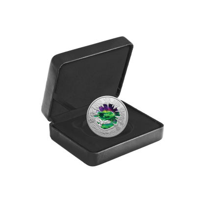 Magic of the Northern Lights 2 Oz Fine Silver Coin Canada 2025
