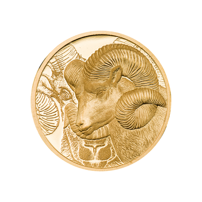 Magnificent Argali Wild Mongolia Gold Coin 2022