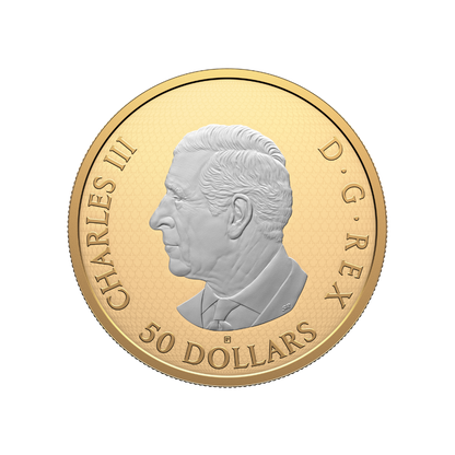 Maple Leaves in Motion 5 oz Fine Silver Coin Canada 2025