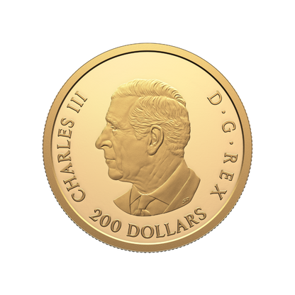 Multifaceted Maple Leaves 1 Oz Pure Gold Coin Canada 2026 Royal Canadian Mint