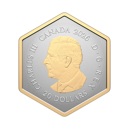 Nature’s Delight: The Spider 1 Oz Fine Silver Coin Canada 2026 Royal Canadian Mint