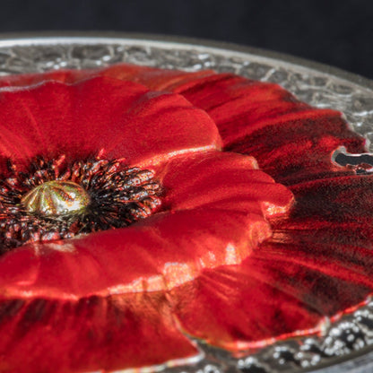 POPPY High Relief Flowers Leaves 2 Oz Silver Coin $10 Palau 2019 - PARTHAVA COIN