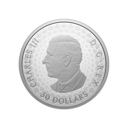 Precious Maple Leaves Fine Silver Coin Canada 2026 Royal Canadian Mint