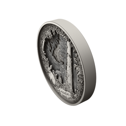 Predator or Prey in Shadow Box Fine Silver Coin Canada 2025