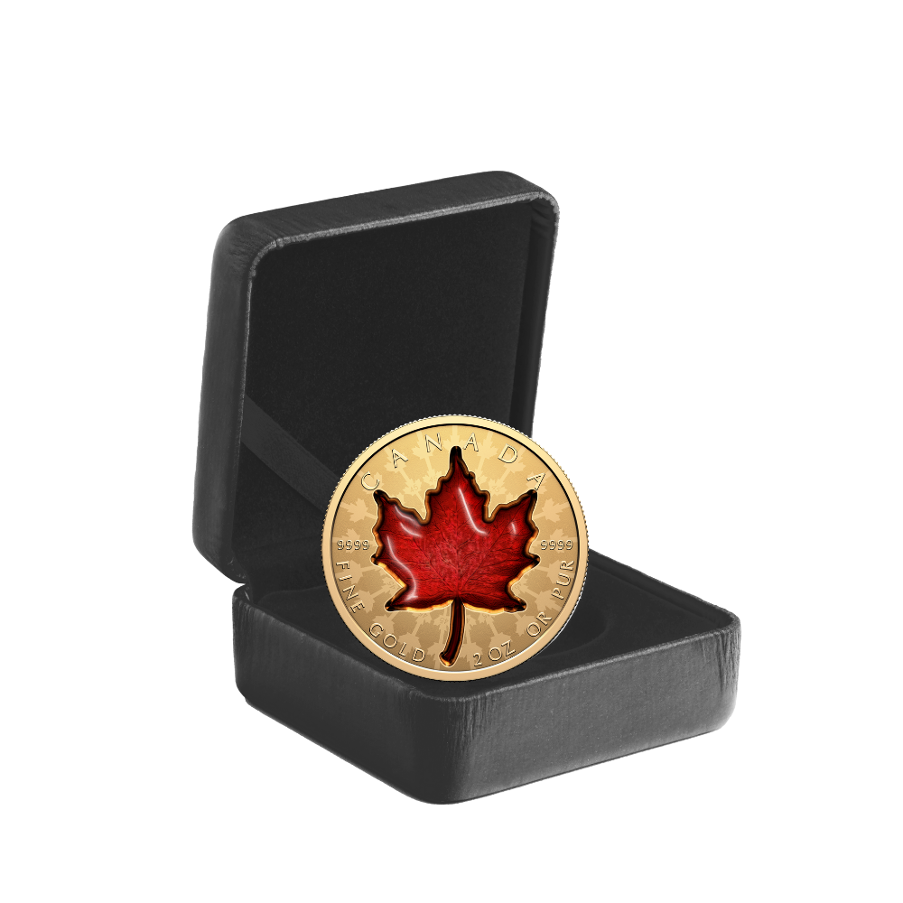 Proud Maple 2 Oz Pure Gold Coin Canada 2024 Royal Canadian Mint