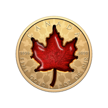 Proud Maple 2 Oz Pure Gold Coin Canada 2024 Royal Canadian Mint