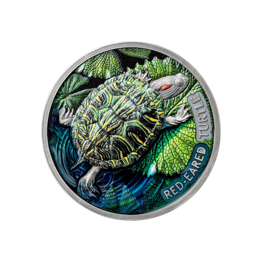 RED EARED TURTLE 2 Oz Silver Coin $2 Niue 2024