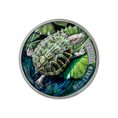 RED EARED TURTLE 2 Oz Silver Coin $2 Niue 2024
