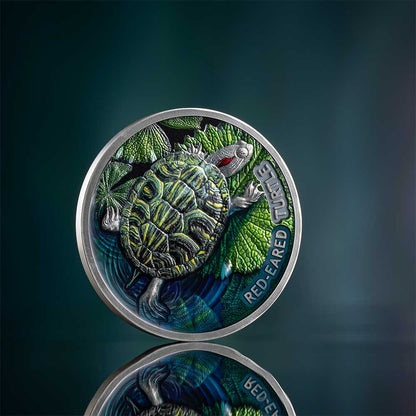 RED EARED TURTLE 2 Oz Silver Coin $2 Niue 2024 - PARTHAVA COIN