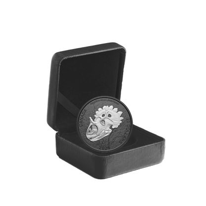 ROYAL HORNED FACE Discovering Dinosaurs 1 Oz Silver Coin $20 Canada 2024