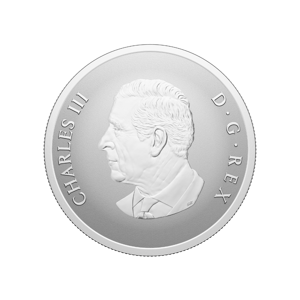 Remembrance Day 1 Oz Fine Silver Coin Canada 2025 Royal Canadian Mint