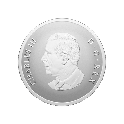 Remembrance Day 1 Oz Fine Silver Coin Canada 2025 Royal Canadian Mint