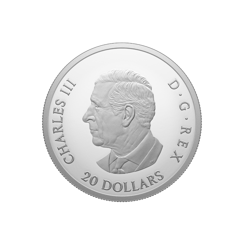 Remembrance Day 1 Oz Silver Coin $20 Canada 2024