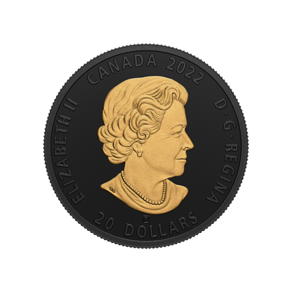 SEA OTTER Black and Gold Silver Coin $20 Canada 2022