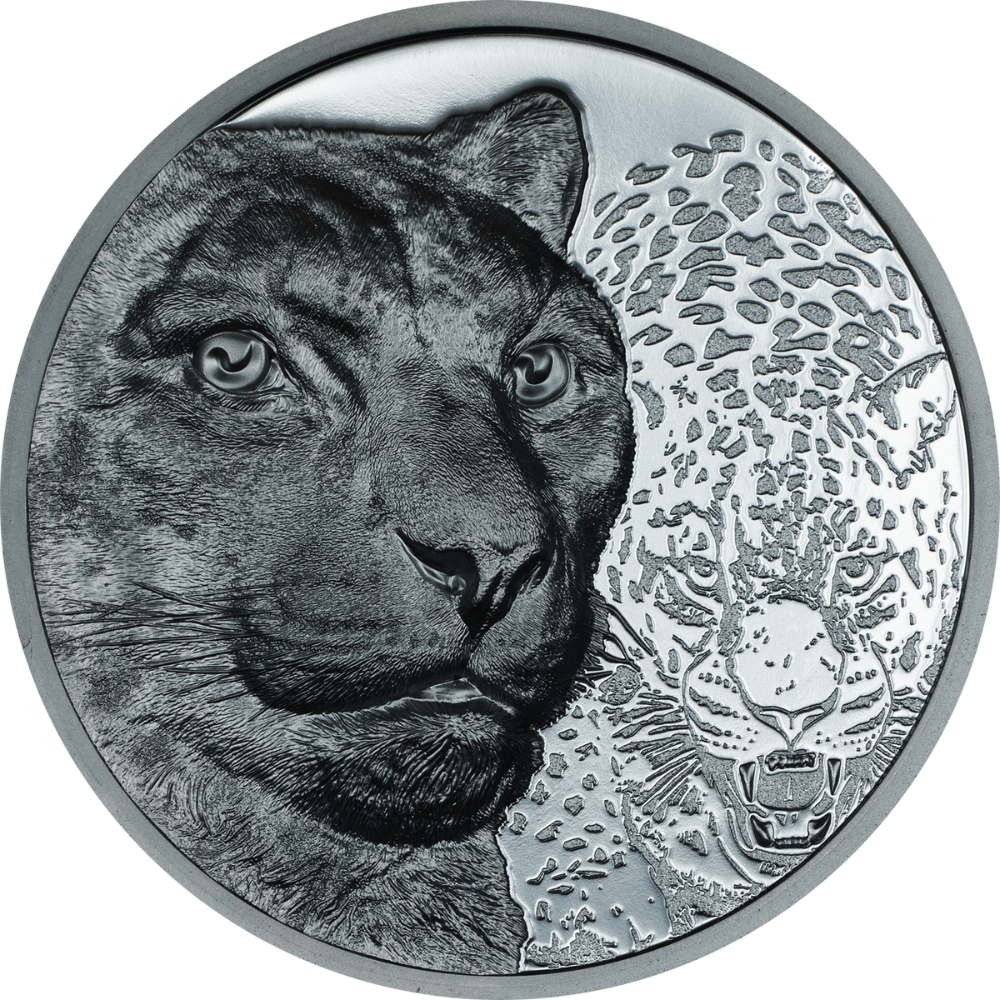SNOW LEOPARD Wild Mongolia 2 Oz Silver Coin 1000 Togrog Mongolia 2024