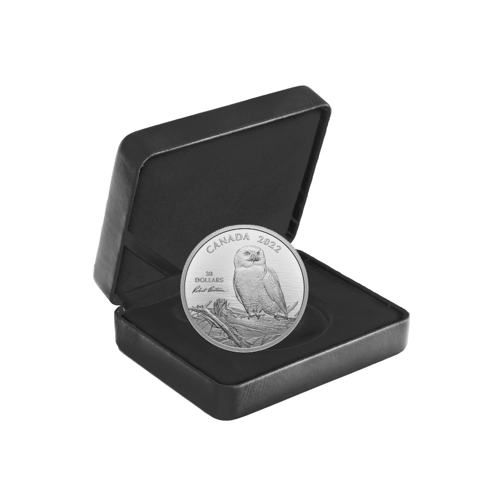 SNOWY OWL ON DRIFTWOOD By Robert Bateman 2 Oz Silver Coin $30 Canada 2022