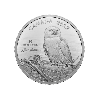 SNOWY OWL ON DRIFTWOOD By Robert Bateman 2 Oz Silver Coin $30 Canada 2022