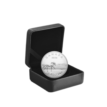 Sable Island Horses 1 Oz Fine Silver Coin Royal Canadian Mint