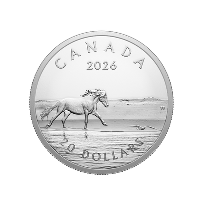 Sable Island Horses 1 Oz Fine Silver Coin Royal Canadian Mint