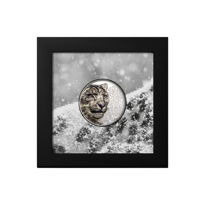 Snow Leopard Wild Mongolia 1 Oz Silver Coin 2024