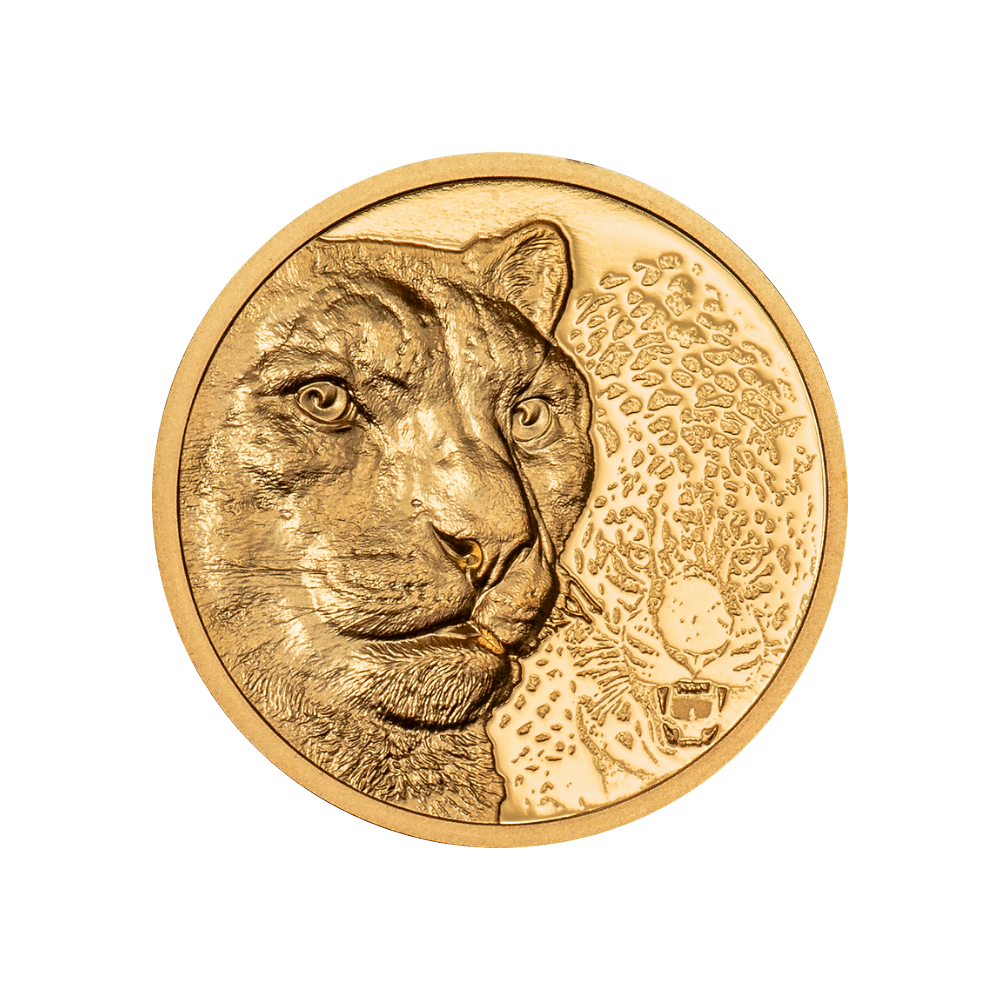 Snow Leopard Wild Mongolia 1/10 Oz Gold Coin 2024