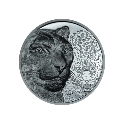 Snow Leopard Wild Mongolia 2 Oz Silver Coin 2024