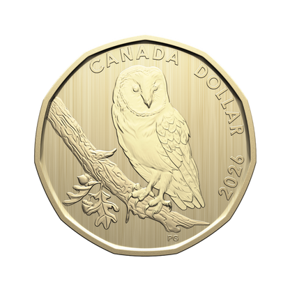 Specimen Set Barn Owl 2026