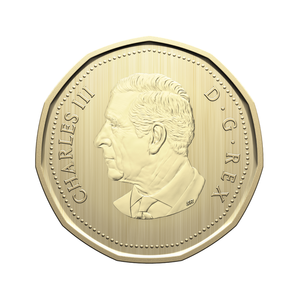 Specimen Set Barn Owl 2026