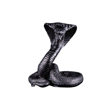 THE 3D SNAKE Year of Snake 3 Oz Silver Coin $5 Samoa 2025