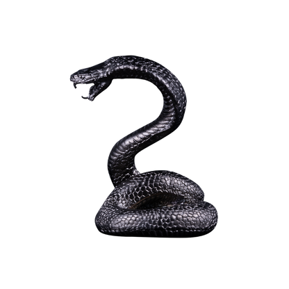 THE 3D SNAKE Year of Snake 3 Oz Silver Coin $5 Samoa 2025