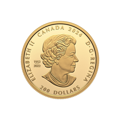 Transcendence and Tranquility Celebrating Canada Diversity 1 Oz Gold Coin $200 Canada 2024