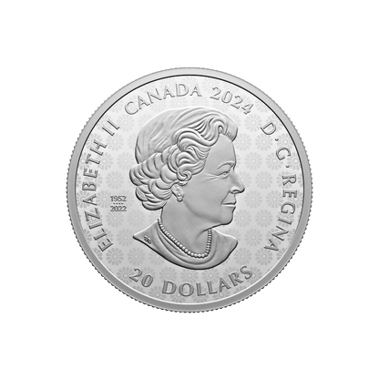 Transcendence and Tranquility Celebrating Canada Diversity 1 Oz Silver Coin $20 Canada 2024