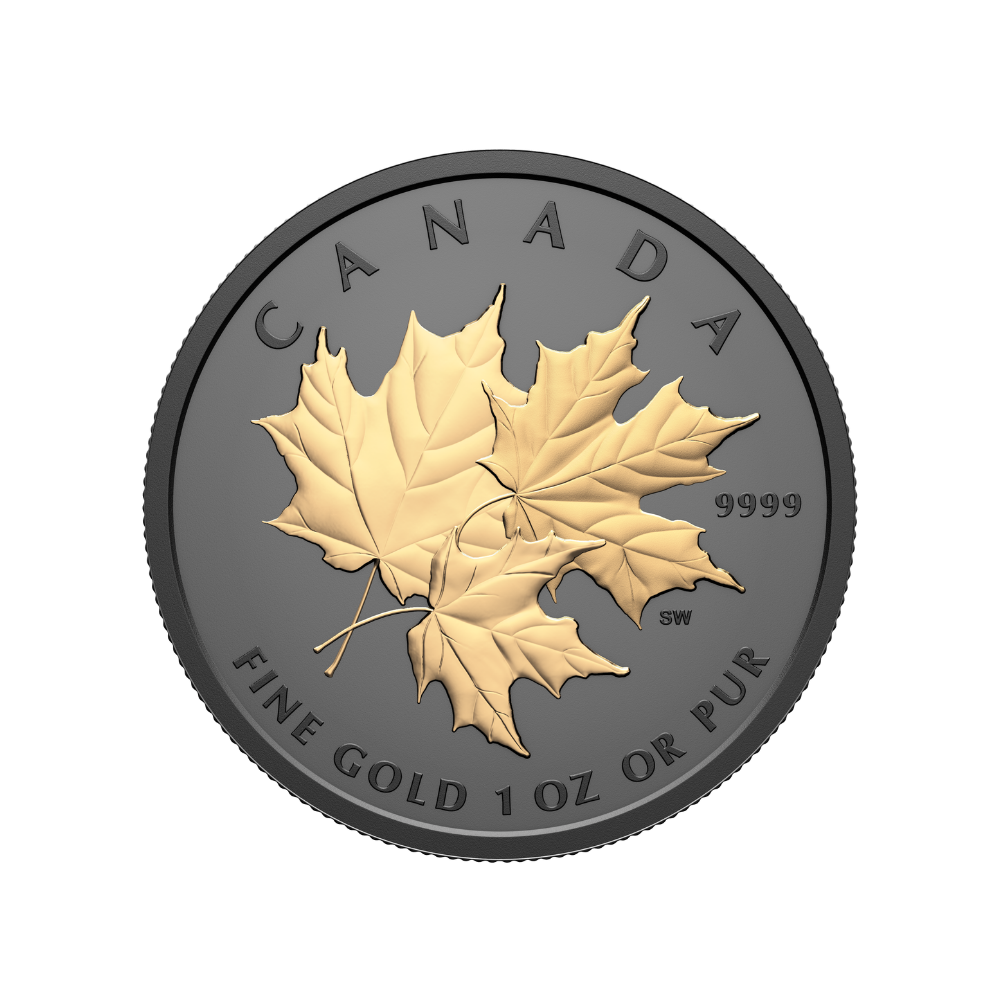Triple Maple 1 Oz Pure Gold Coin 2026 Royal Canadian Mint