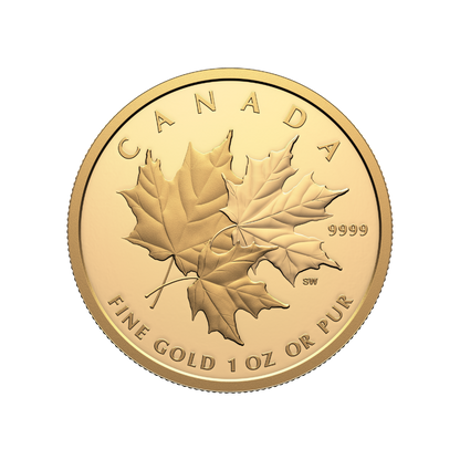 Triple Maple 1 Oz Pure Gold Coin Canada 2025