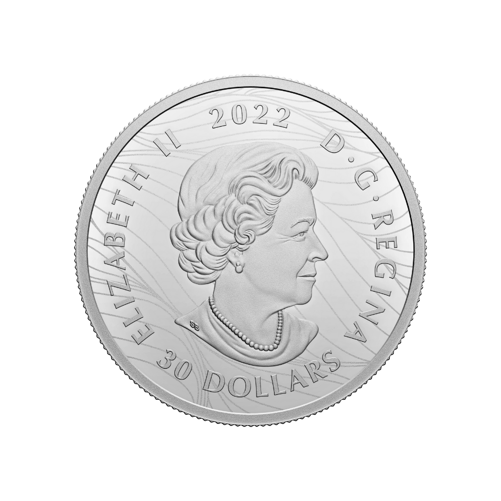 VISIONS OF CANADA 2 Oz Silver Coin $30 Canada 2022