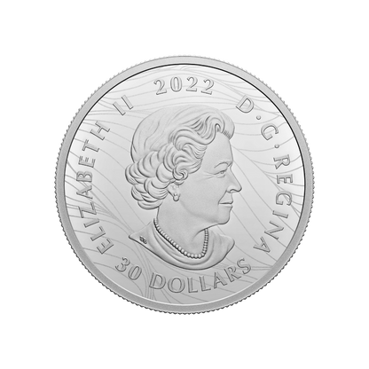 VISIONS OF CANADA 2 Oz Silver Coin $30 Canada 2022