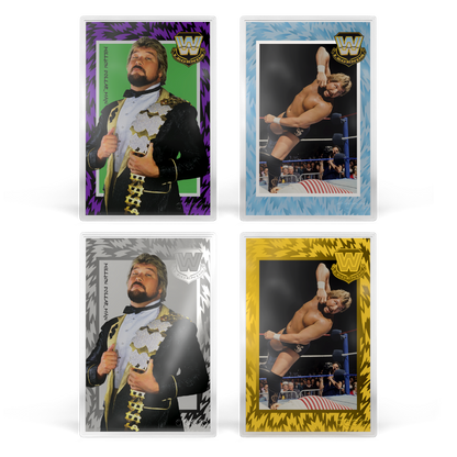 WWE: Golden Era Legends Blind Box agoro