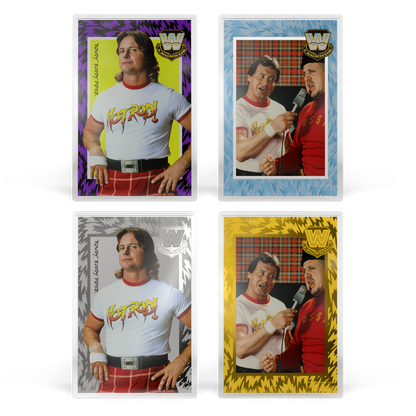 WWE: Golden Era Legends Blind Box agoro