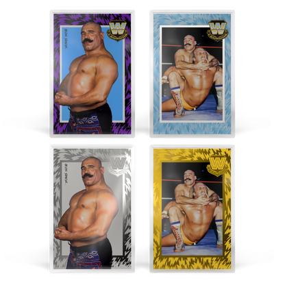WWE: Golden Era Legends Blind Box agoro