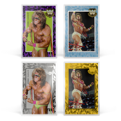 WWE: Golden Era Legends Blind Box agoro