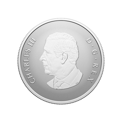 Welcome to the World! Fine Silver Coin 2026 ROYAL CANADIAN MINT