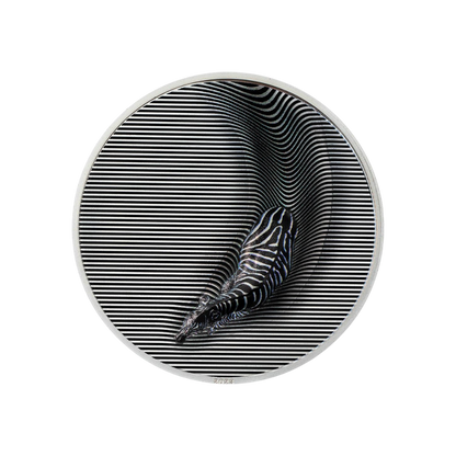 ZEBRA Camouflage of Nature 3 Oz Silver Coin $20 Palau 2023